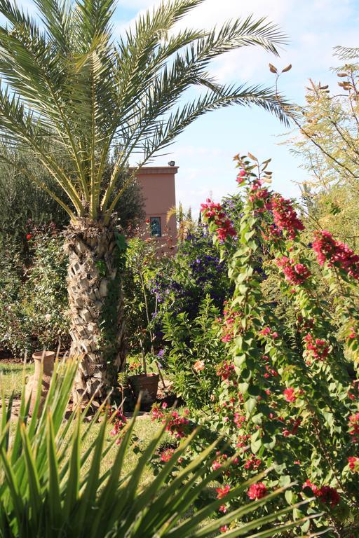 Terra Mia Marrakech Bed and Breakfast Ouled Jelal Εξωτερικό φωτογραφία