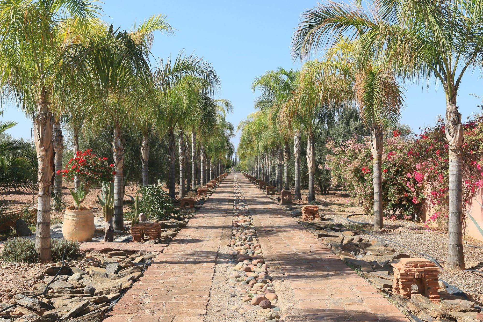 Terra Mia Marrakech Bed and Breakfast Ouled Jelal Εξωτερικό φωτογραφία
